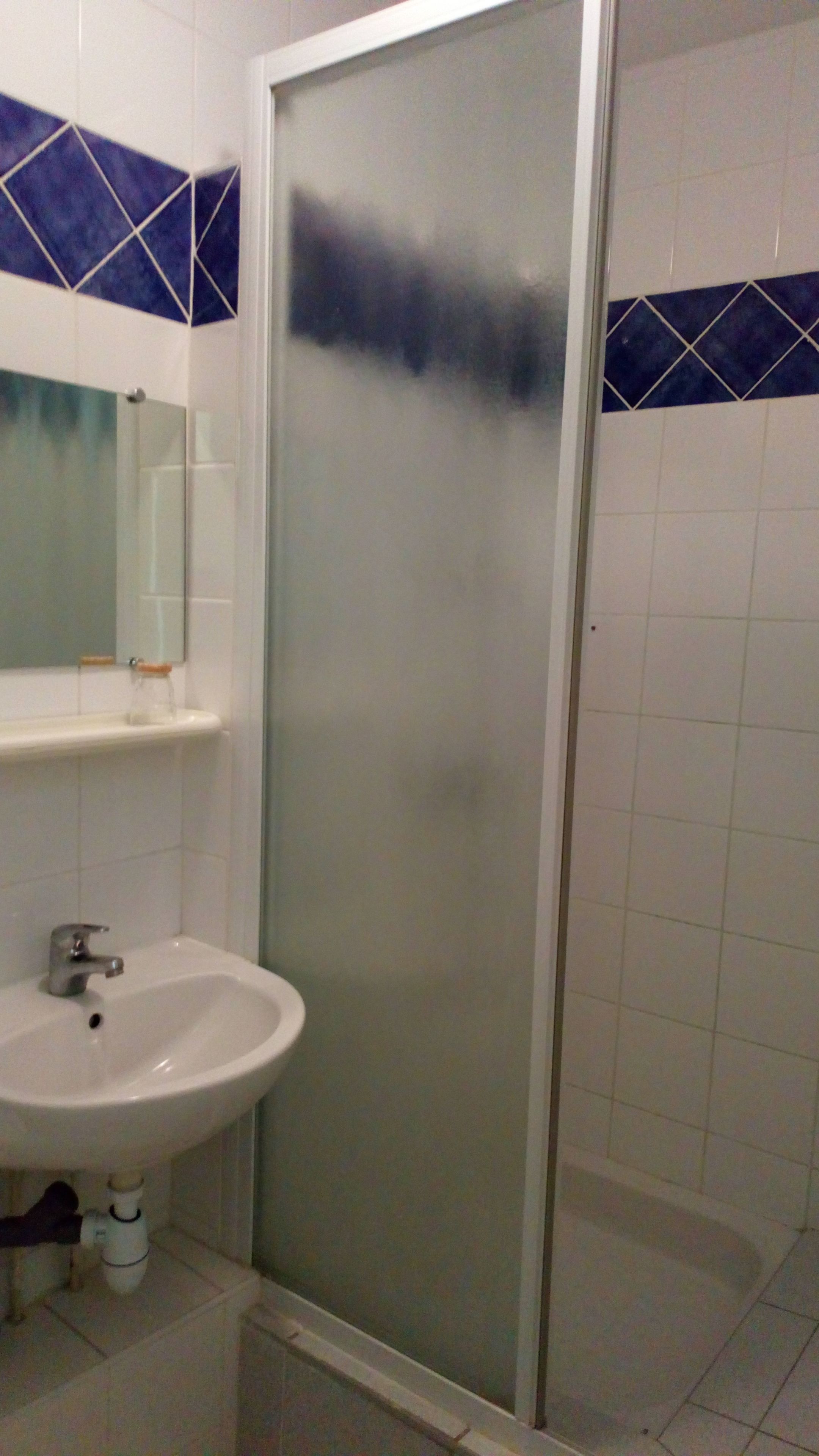 superior double room | bathroom shower