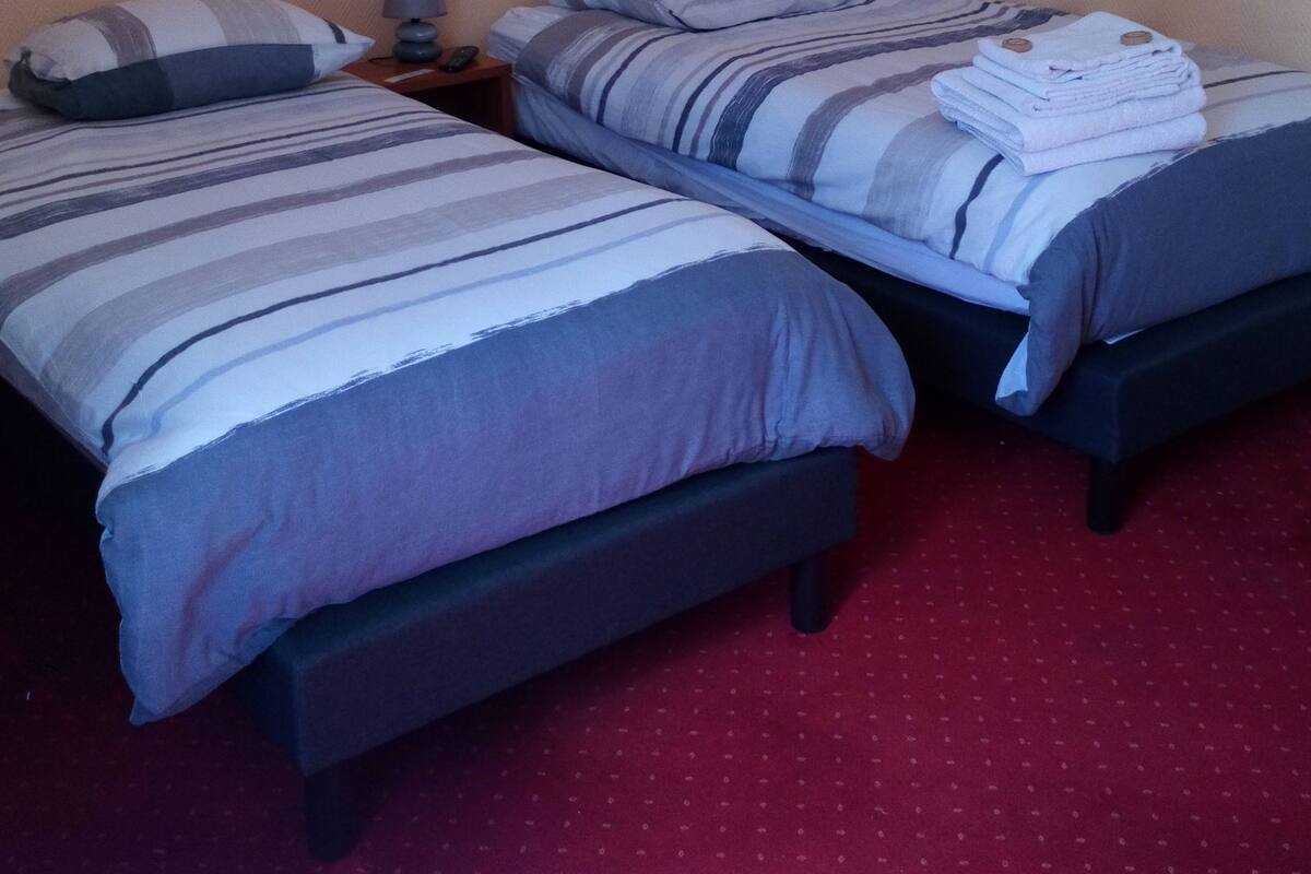Een slaapkamer met twee bedden, een nachtkastje, een lamp en een lijst met een foto aan de muur.
