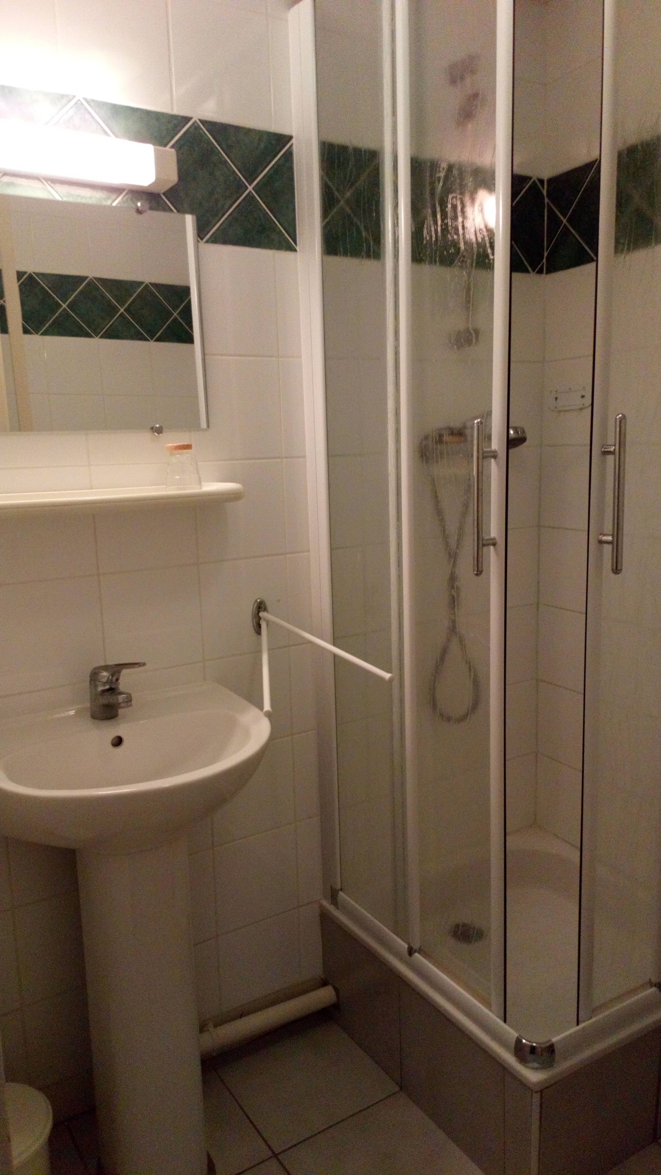 premium double room | bathroom shower