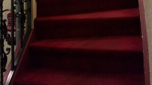 Una escalera con peldaños alfombrados en rojo y barandilla morada.