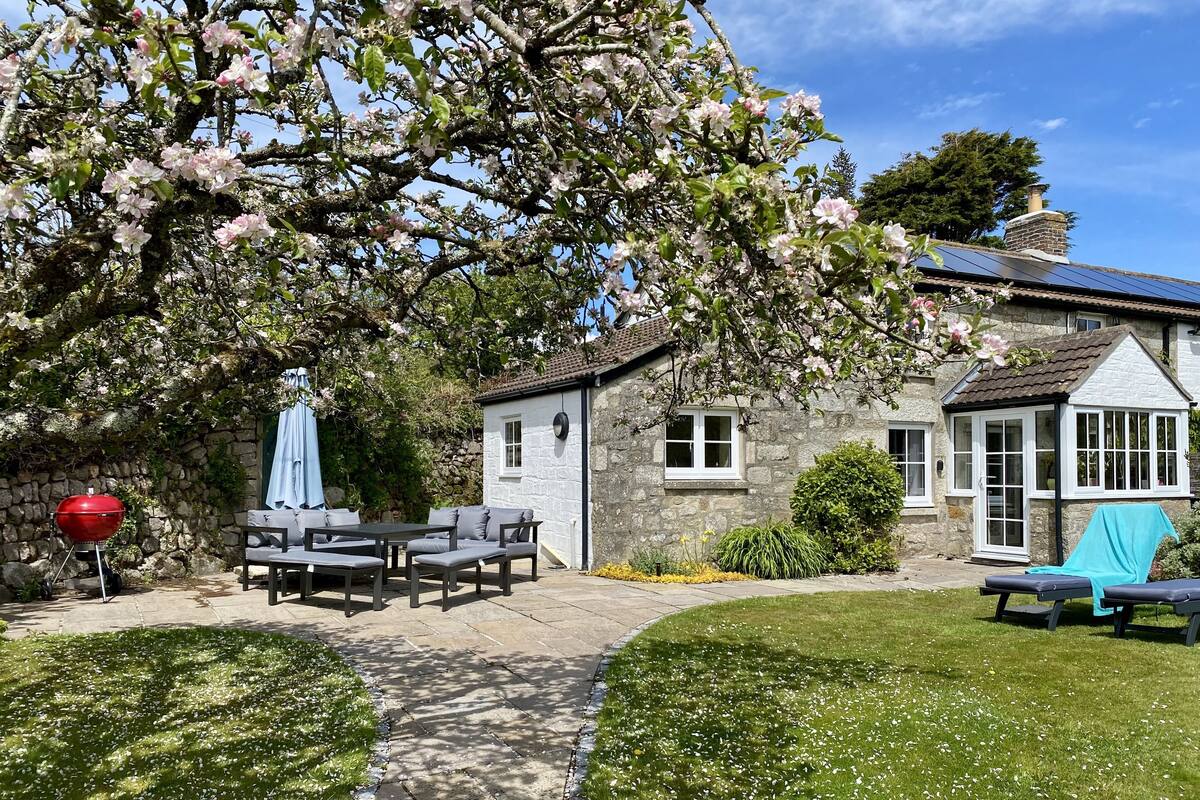 A stone house with a patio, outdoor seating, and a large tree with blossoms.