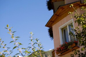 A building with a window and wooden balcony with red flowers. - Hotel Michela (Male)