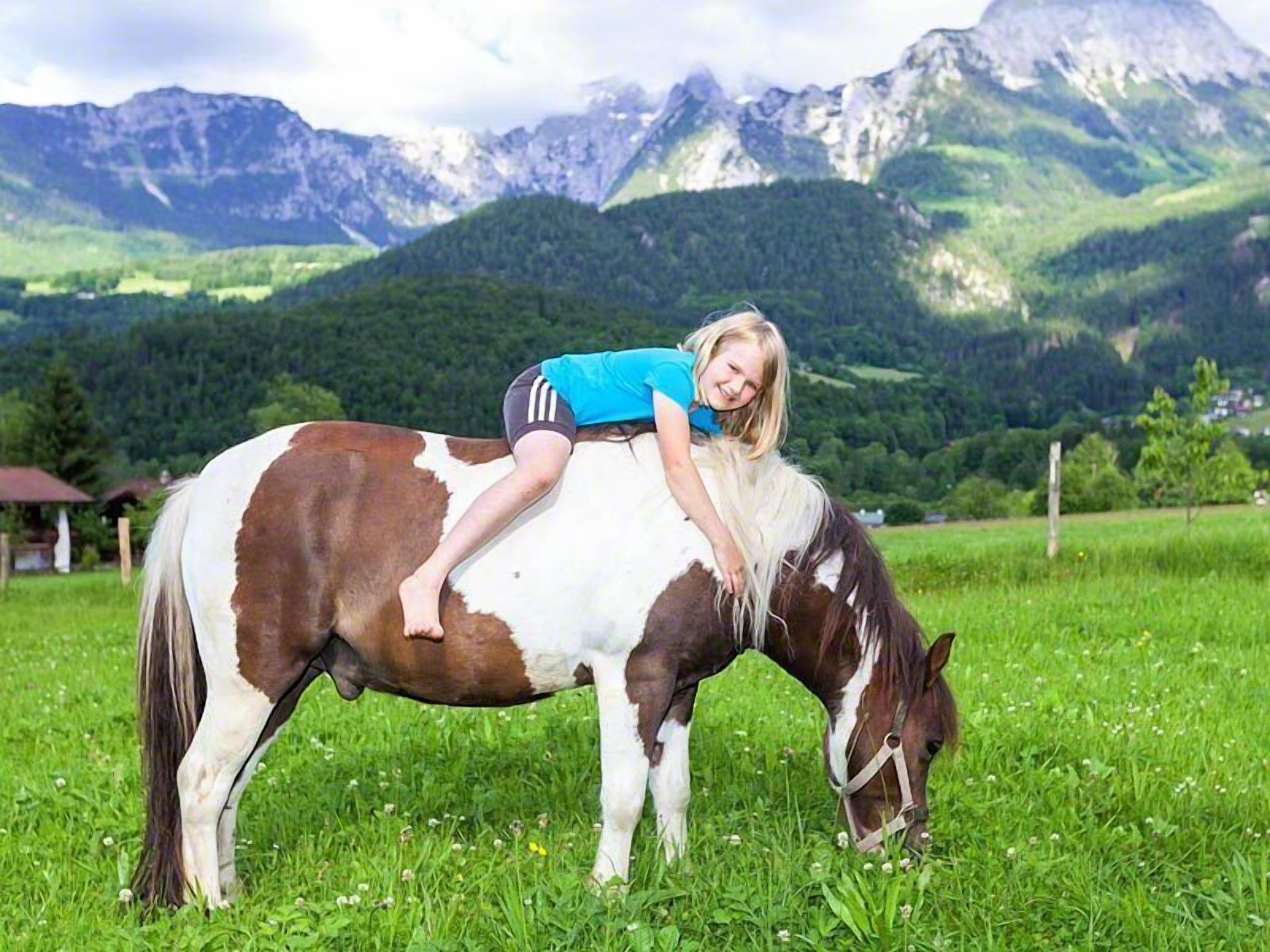 Eine Person reitet auf einem Pferd durch ein grasbewachsenes Feld, im Hintergrund sind Berge zu sehen.
