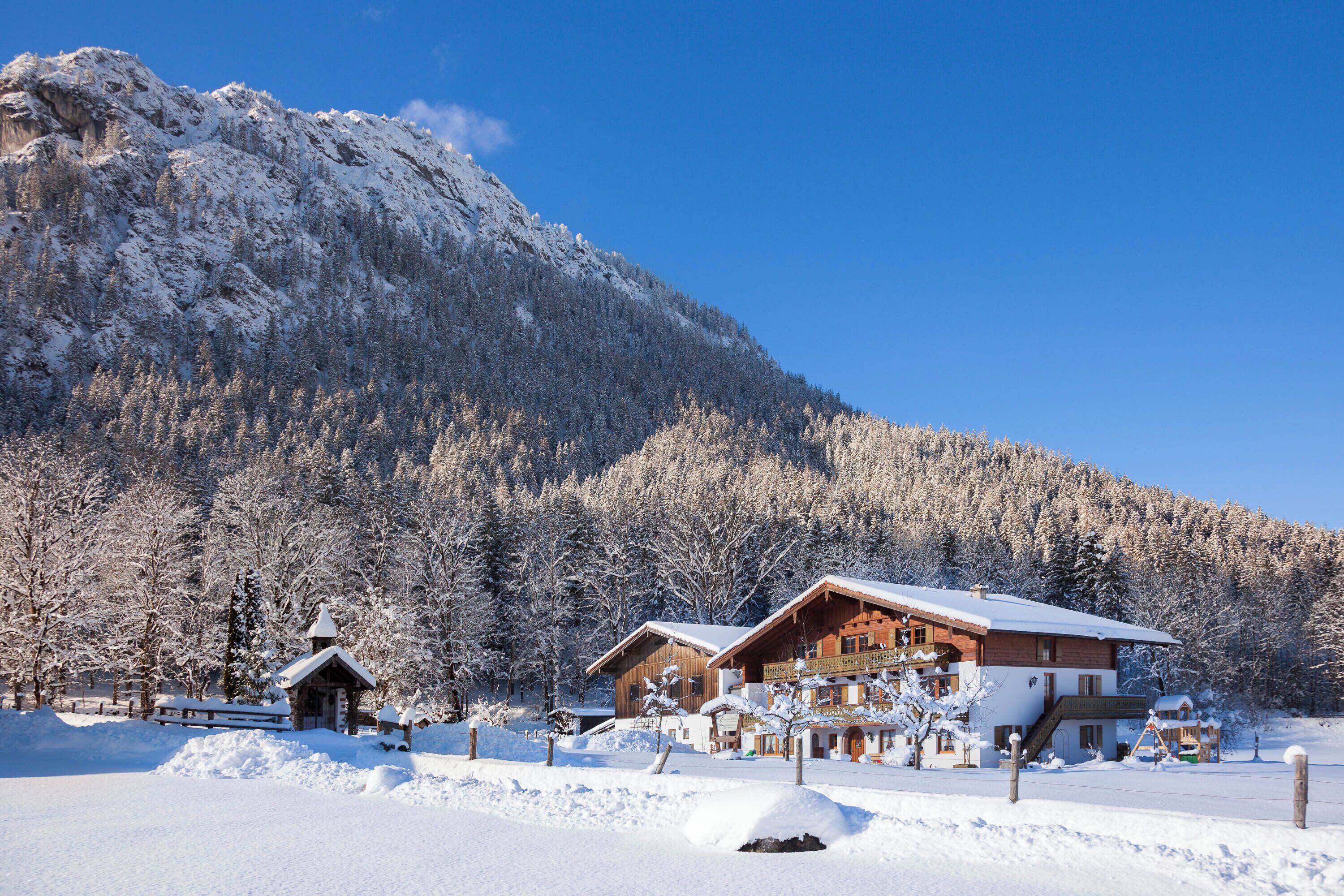 Un chalet de montagne doté de plusieurs cabanes en bois, entouré d  ’arbres couverts de neige et surplombant un ciel bleu dégagé.