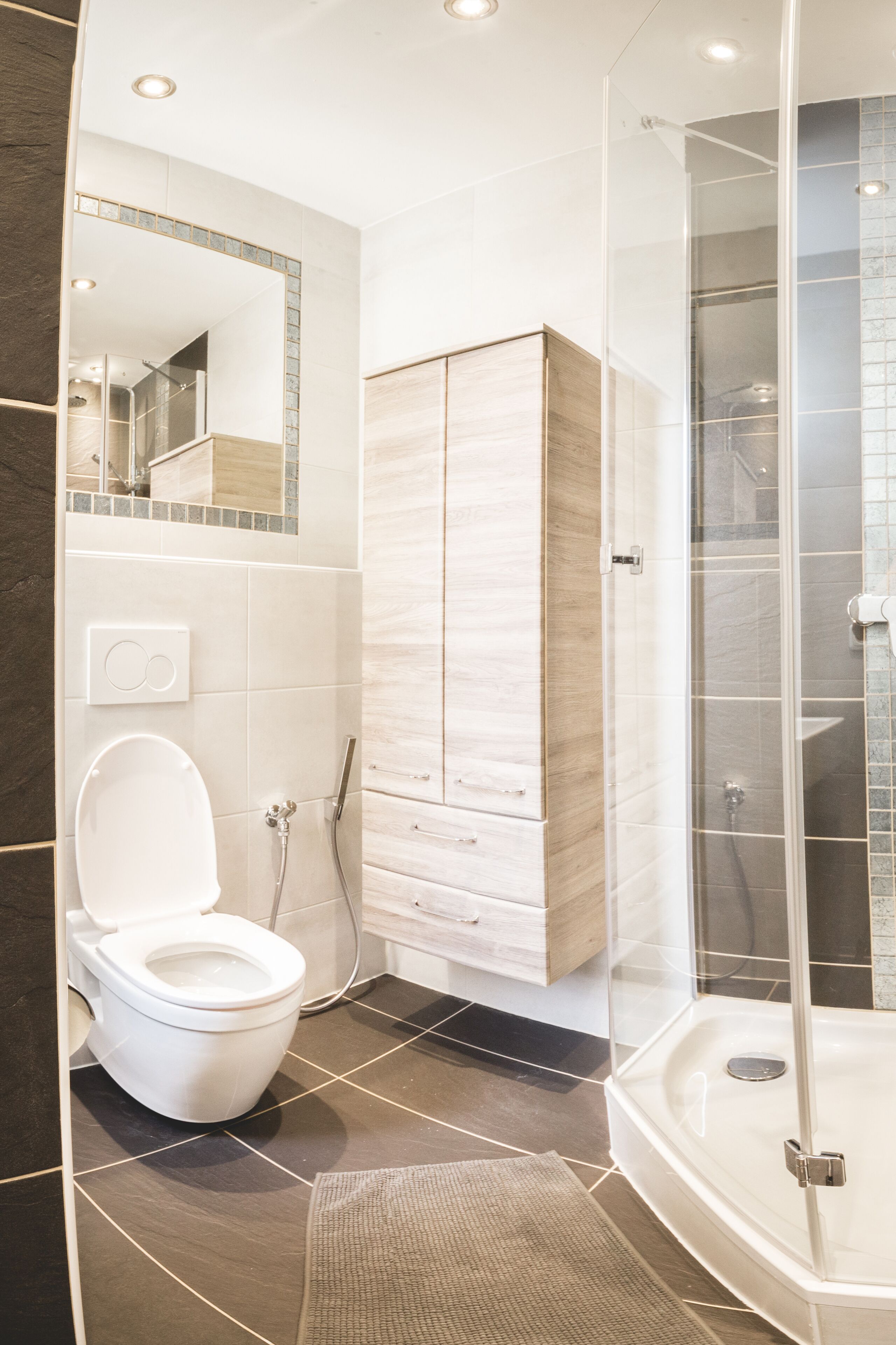 Shower, hair dryer, towels, toilet paper