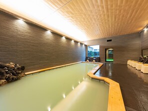 Hot springs - Furinya (Shibata)