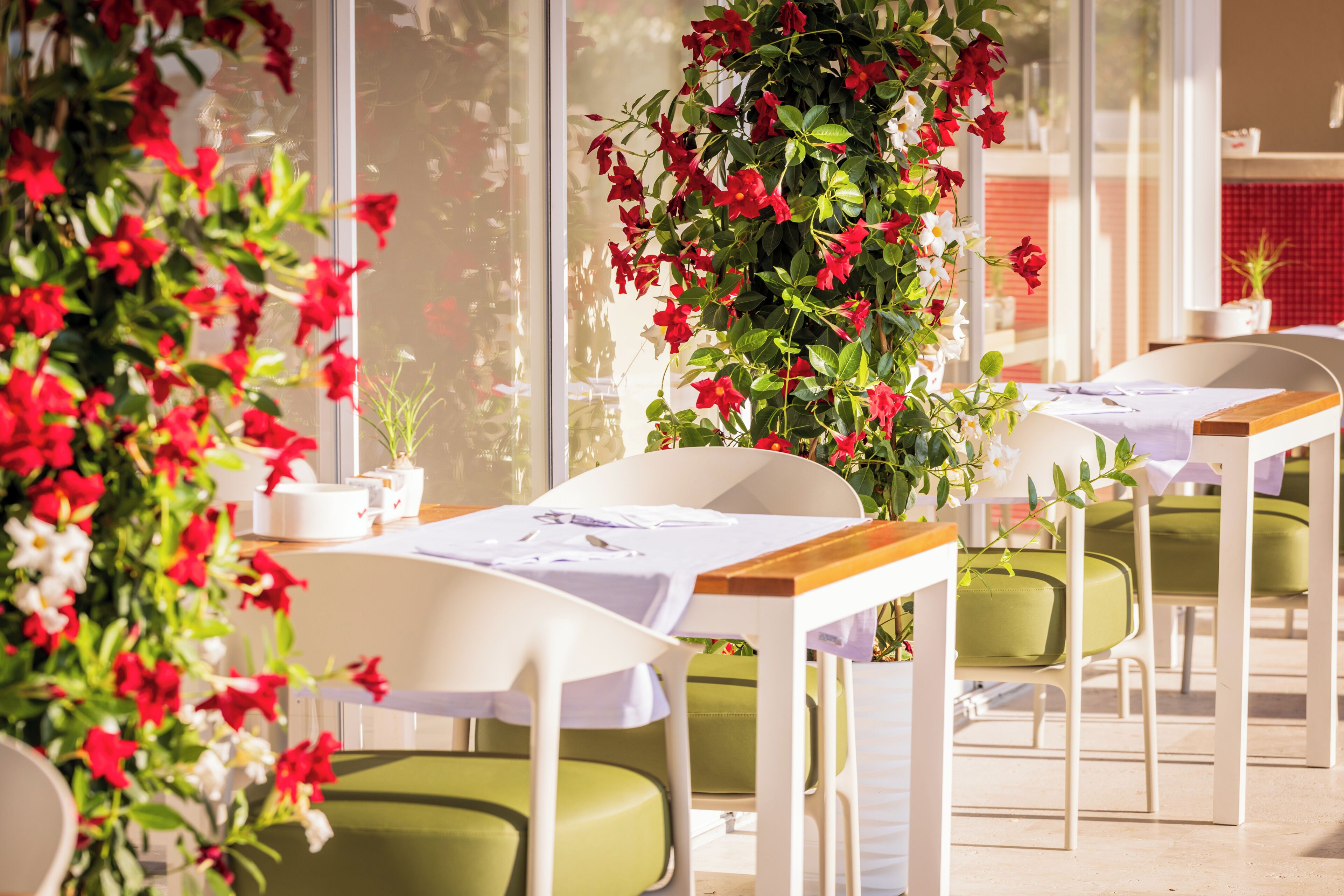 A dining area with tables and chairs, a potted plant with red flowers, and a window with a view.