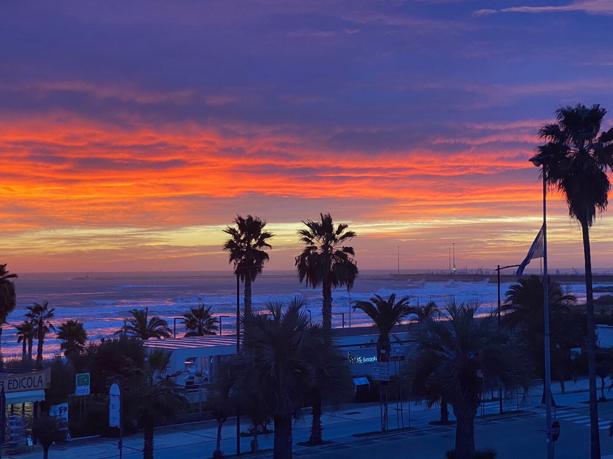 Atardecer sobre una playa con palmeras y un edificio con un cartel que dice 'EDICOLA'.