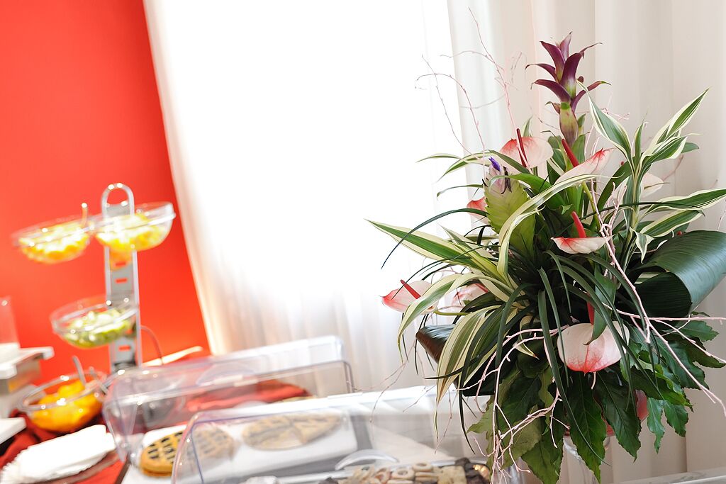 Foto - Valentino SPA Resort