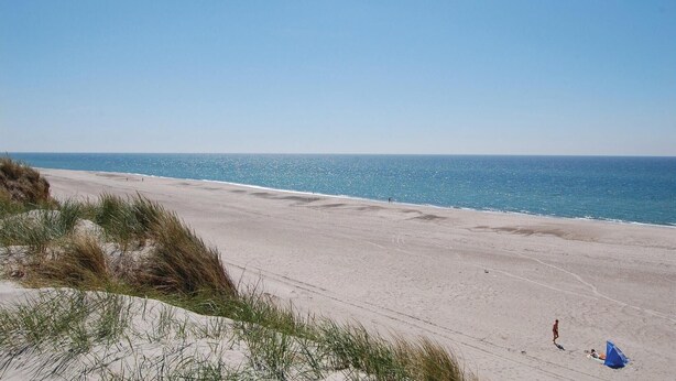 A wide sandy beach with dunes and a clear blue sky. - Pet friendly home in Hvide Sande with WiFi (Hvide Sande)