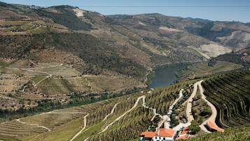 A vineyard with terraced fields and a house with a red roof.