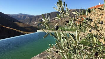 Una piscina al aire libre, sombrillas