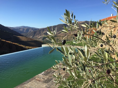 Una piscina al aire libre, sombrillas