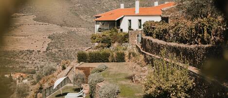 Una casa con piscina, rodeada de un jardín y un viñedo.