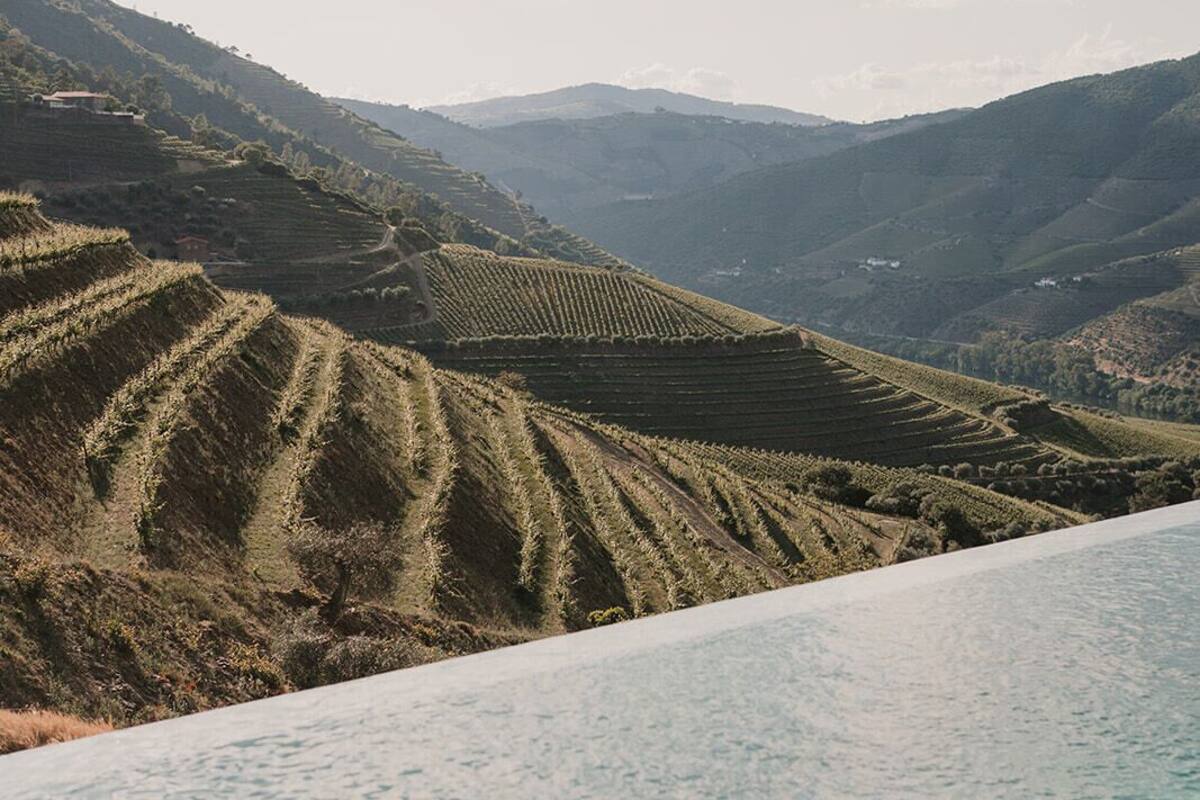 Weinlandschaft mit terrassierten Feldern und einem klaren, blauen Pool.