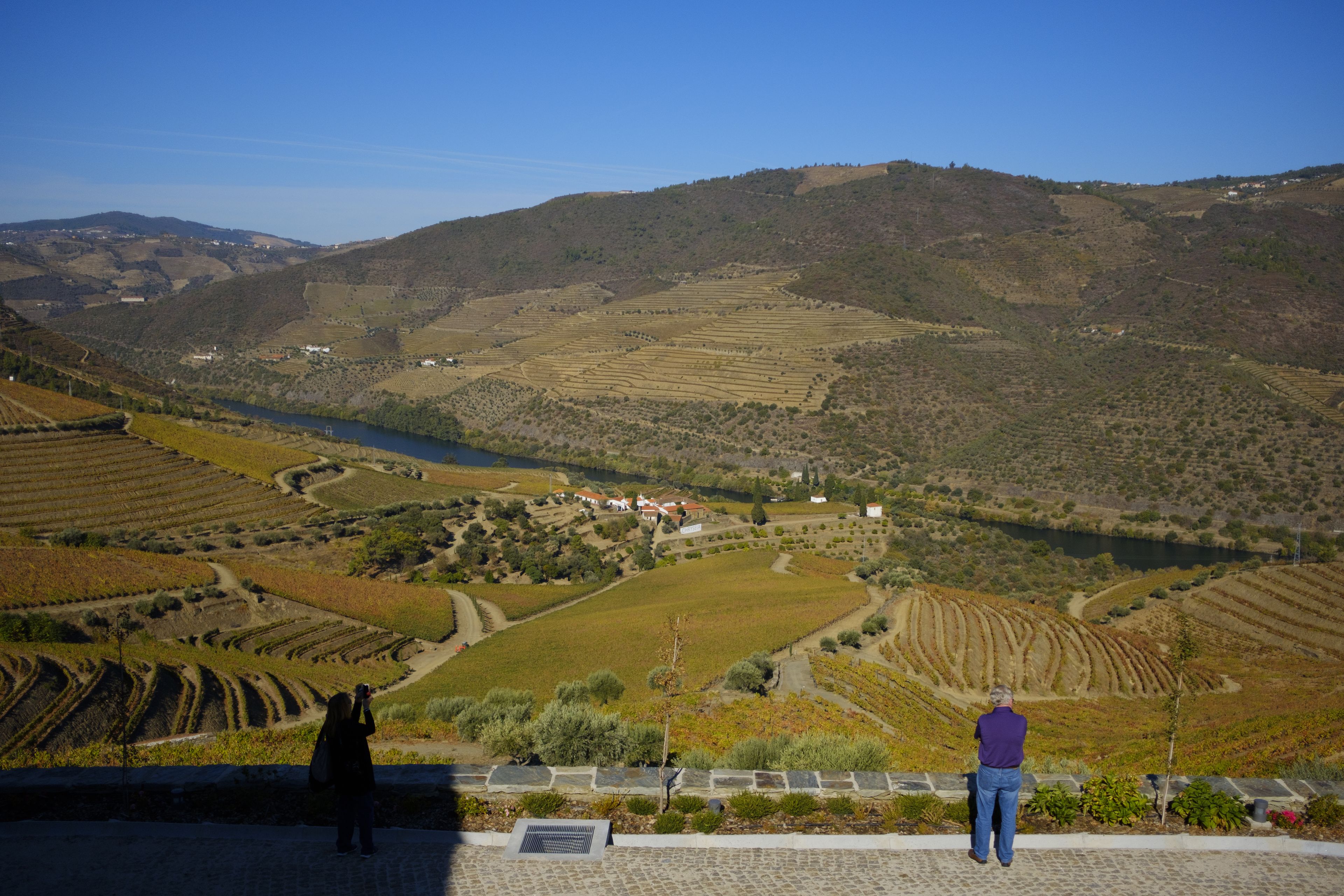 Paisaje de viñedos con campos en terrazas y un pequeño pueblo.
