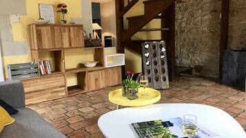 TV connectée, cheminée, lecteur de DVD, livres