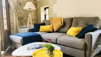 TV connectée, cheminée, lecteur de DVD, livres