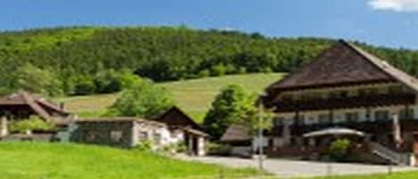 Ulkopuoli