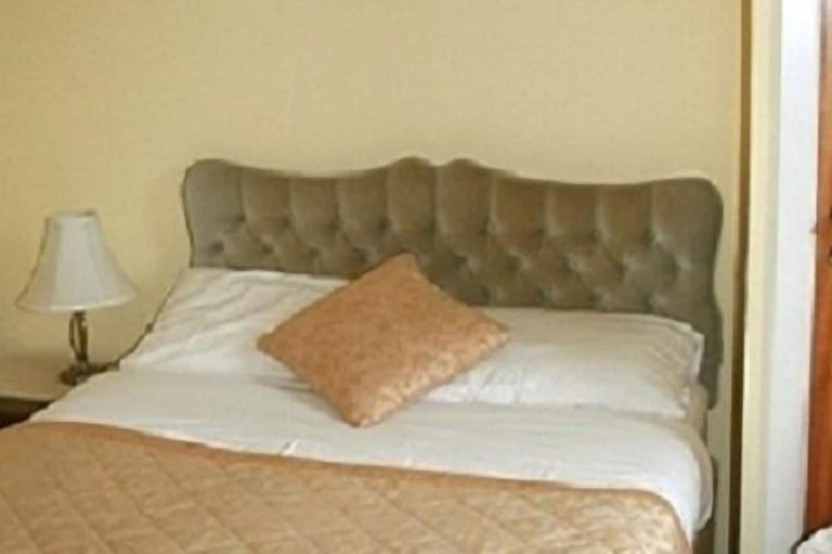 standard double room, ensuite (spring room)