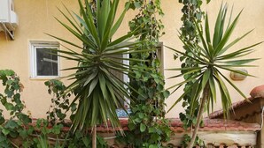 Un jardín con diversas plantas, una valla de madera y un edificio con una ventana.