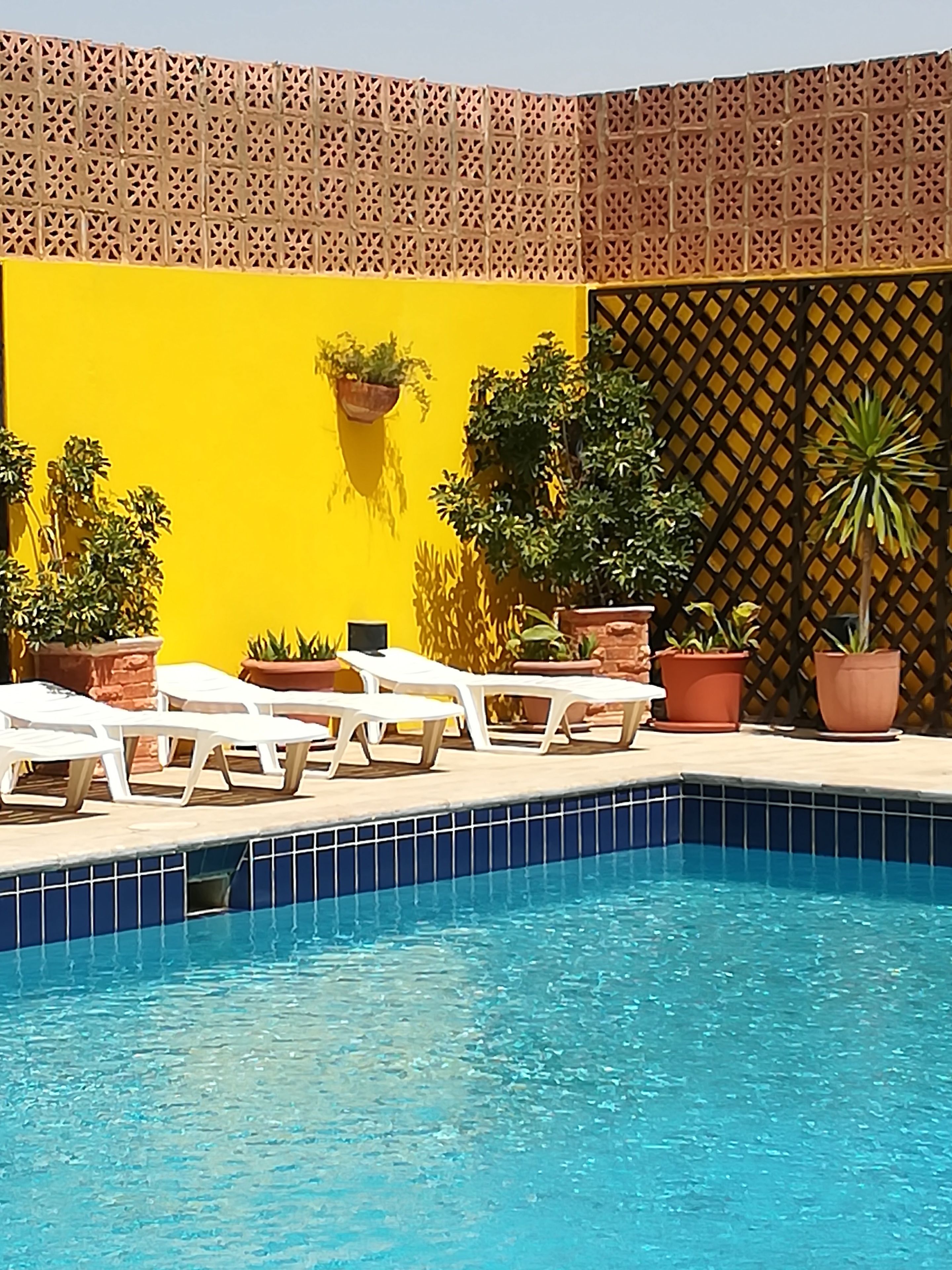 Zona de piscina con sillas de descanso blancas, plantas en macetas y una pared amarilla.