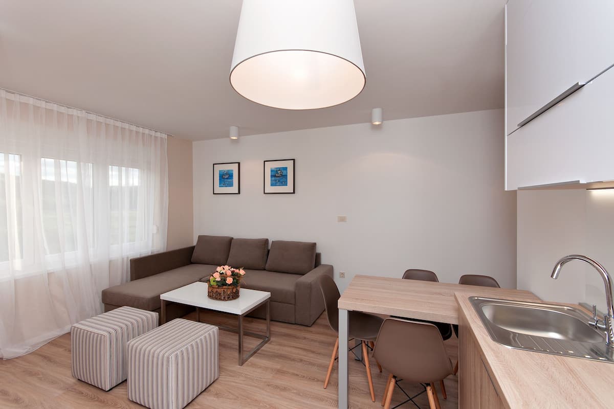 Apartamento, 1 habitación | Zona de estar | Una televisión de pantalla plana