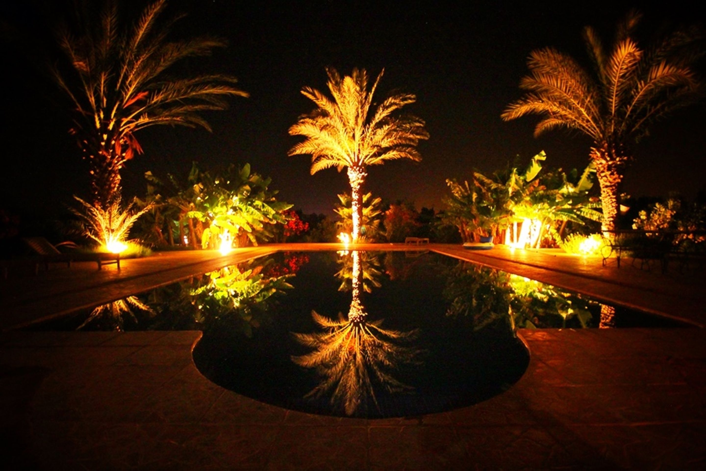 室外游泳池，池畔遮阳伞，日光浴躺椅