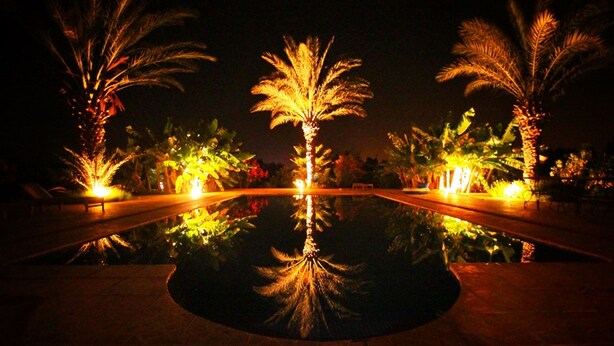 Vista nocturna de una piscina con palmeras y luces reflejándose en el agua.