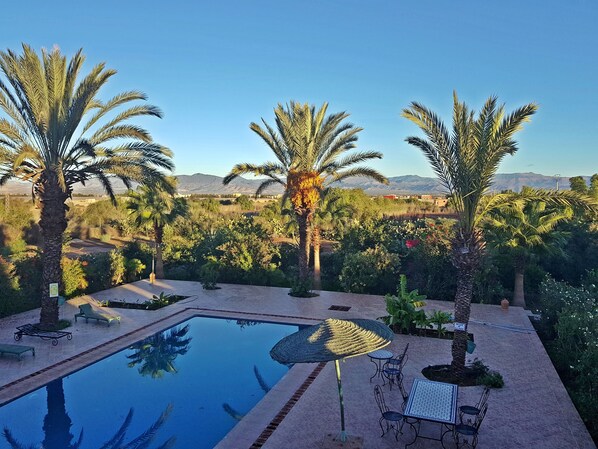 Outdoor pool, pool umbrellas, sun loungers