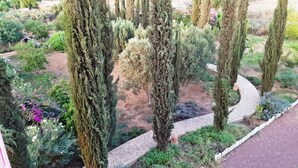Un jardín ajardinado con altos cipreses, un sendero sinuoso y diversos arbustos y flores.