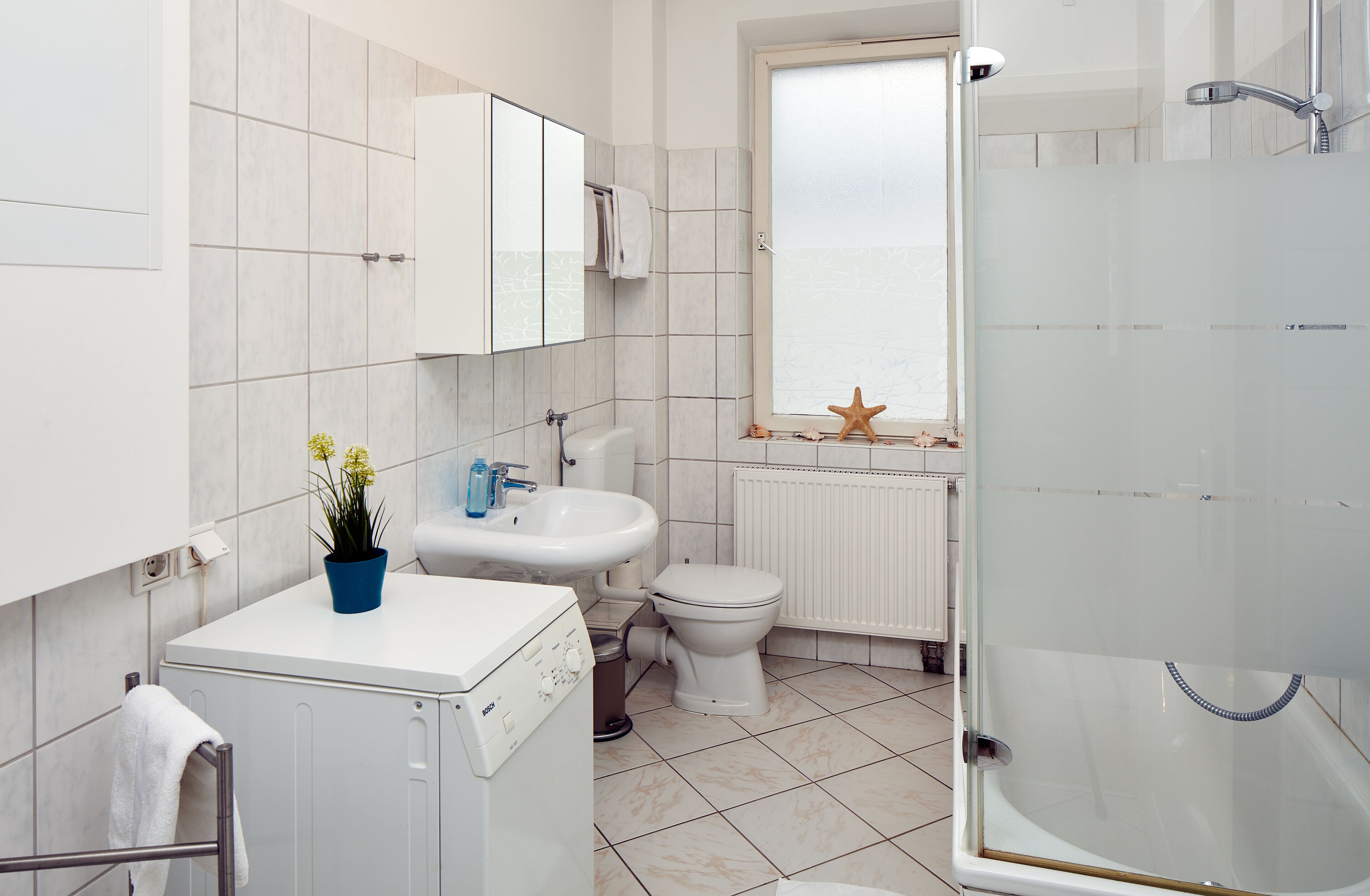 A modern bathroom with a white sink, toilet, and shower. There is a potted plant on the sink counter, and a starfish decoration on the windowsill.