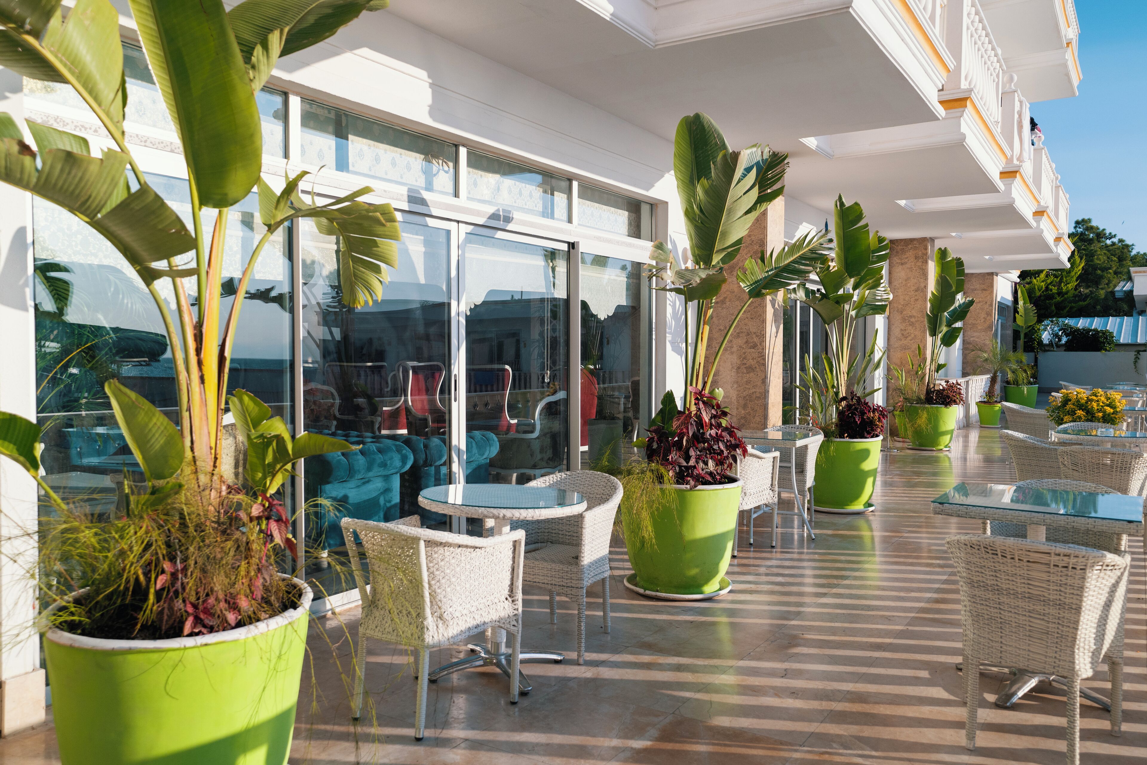 A sunlit outdoor seating area with wicker chairs and green planters, overlooking a pool and a building with large windows.