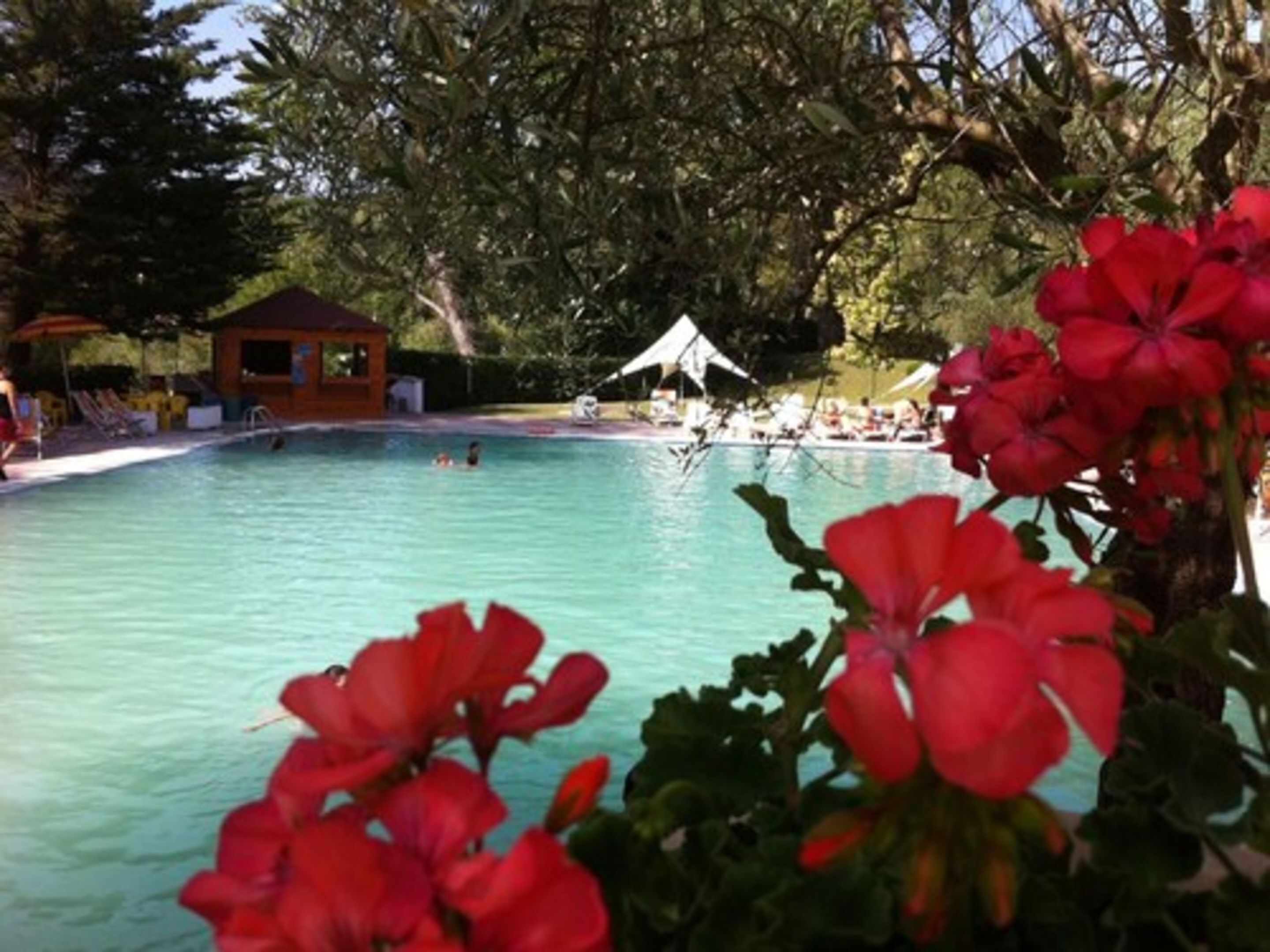 Indoor pool, seasonal outdoor pool