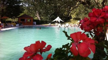 Indoor pool, seasonal outdoor pool