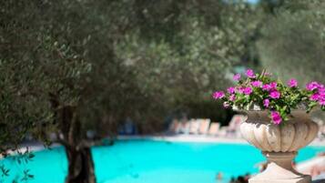 Un espace piscine avec une eau d’un bleu limpide, entouré d’oliviers et agrémenté d’un bac à fleurs en pierre décoratif, où s’épanouissent des fleurs roses.