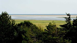 Eine Küstenlandschaft mit Strand, Wiese und Bäumen.