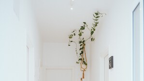Un pasillo con paredes blancas, suelo de baldosas, una puerta, un pequeño banco y una planta en maceta.