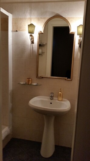 Deluxe Double Room | Bathroom | Shower, free toiletries, hair dryer, bathrobes