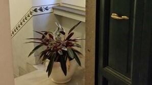 A hallway with a potted plant, a window, and a dark door. - Diapason Colosseum Suite (Rome)