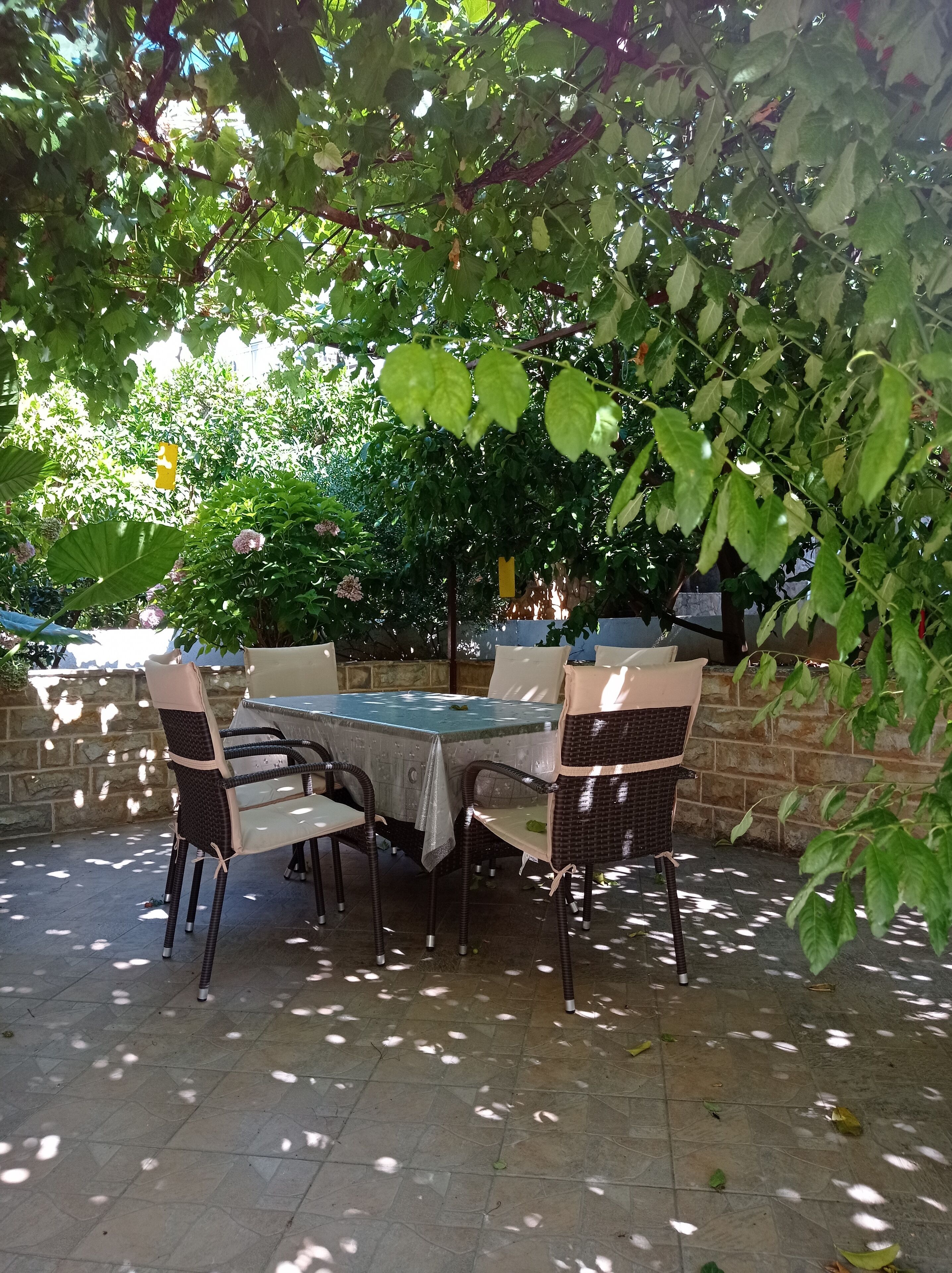 Apartment, 1 Bedroom, Patio | Vista para o jardim