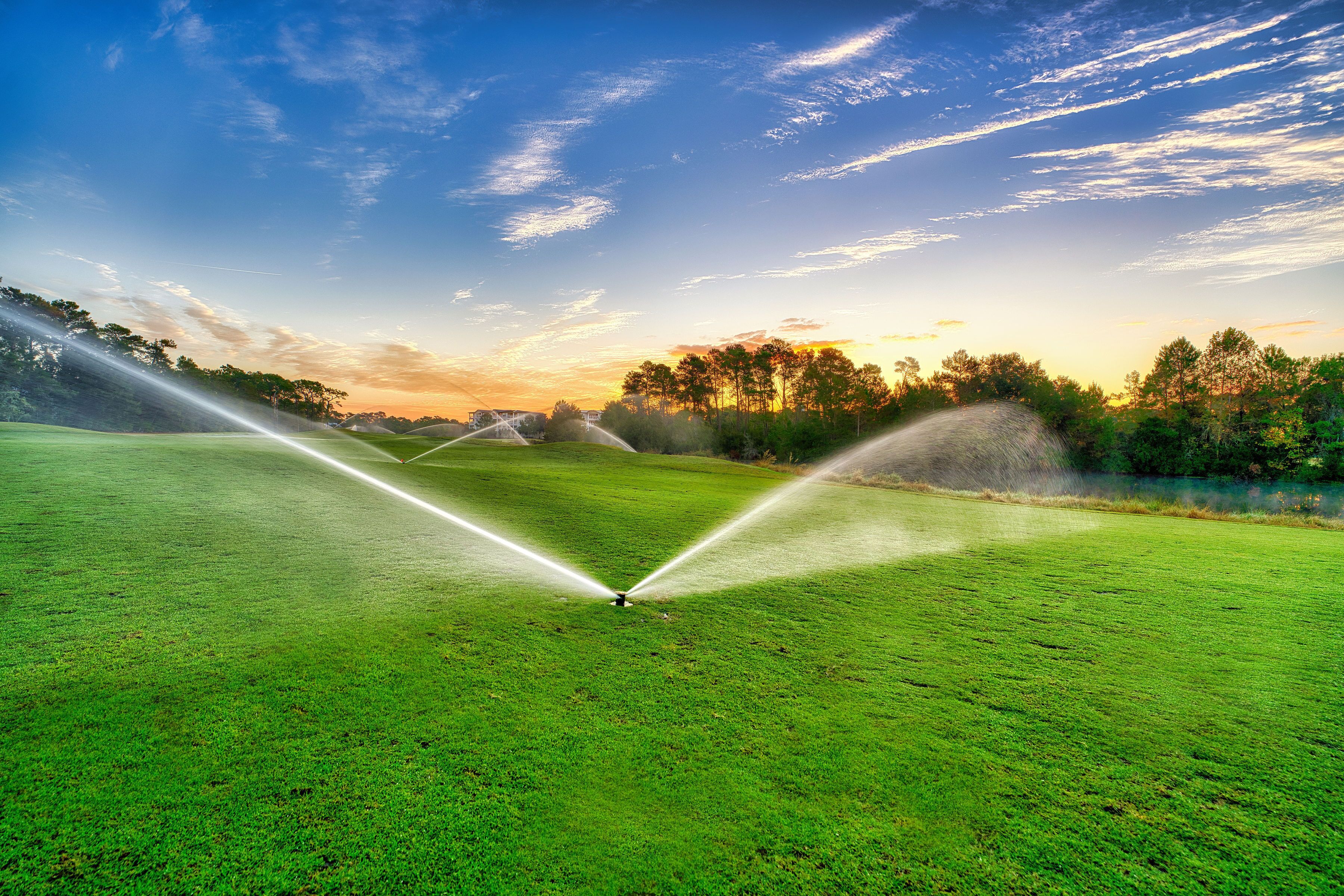 Ein Golfplatz bei Sonnenuntergang, Bewässerungsanlagen versprühen Wasser auf das Gras.