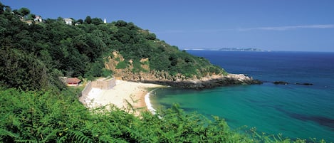 A coastal landscape with a beach, dense greenery, and a small building.