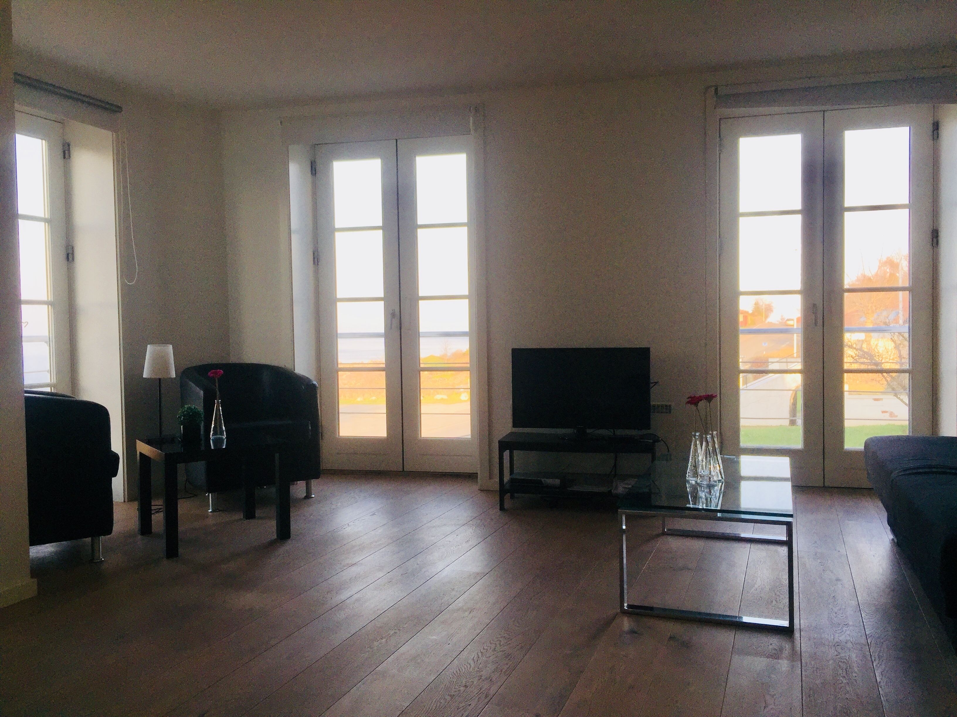 基础公寓 | 客厅 | 平板电视