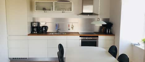 Basic Apartment | Private kitchen | Full-size fridge, oven, stovetop, dishwasher