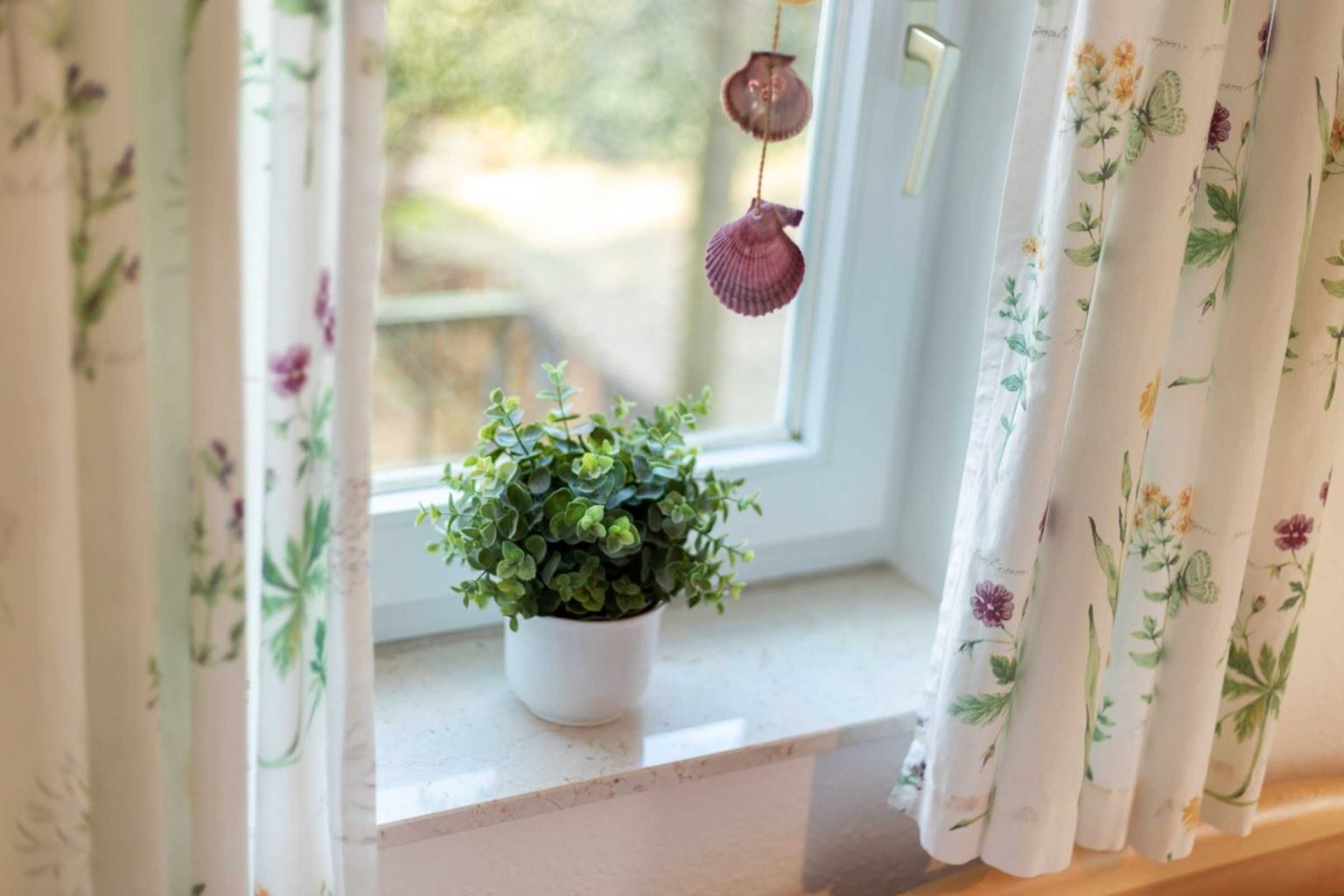 A window with a potted plant on the sill, floral curtains, and a seashell decoration.