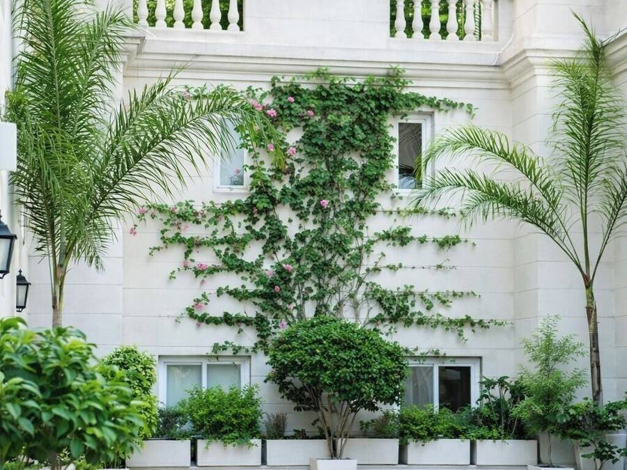 Un patio con un edificio blanco, plantas en macetas y una banca.
