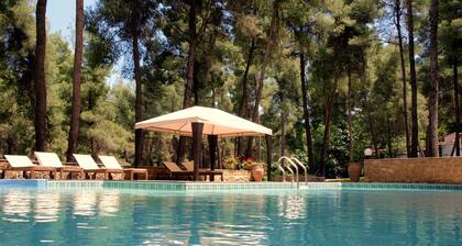 Sani Cape Villas - Stamatiadis