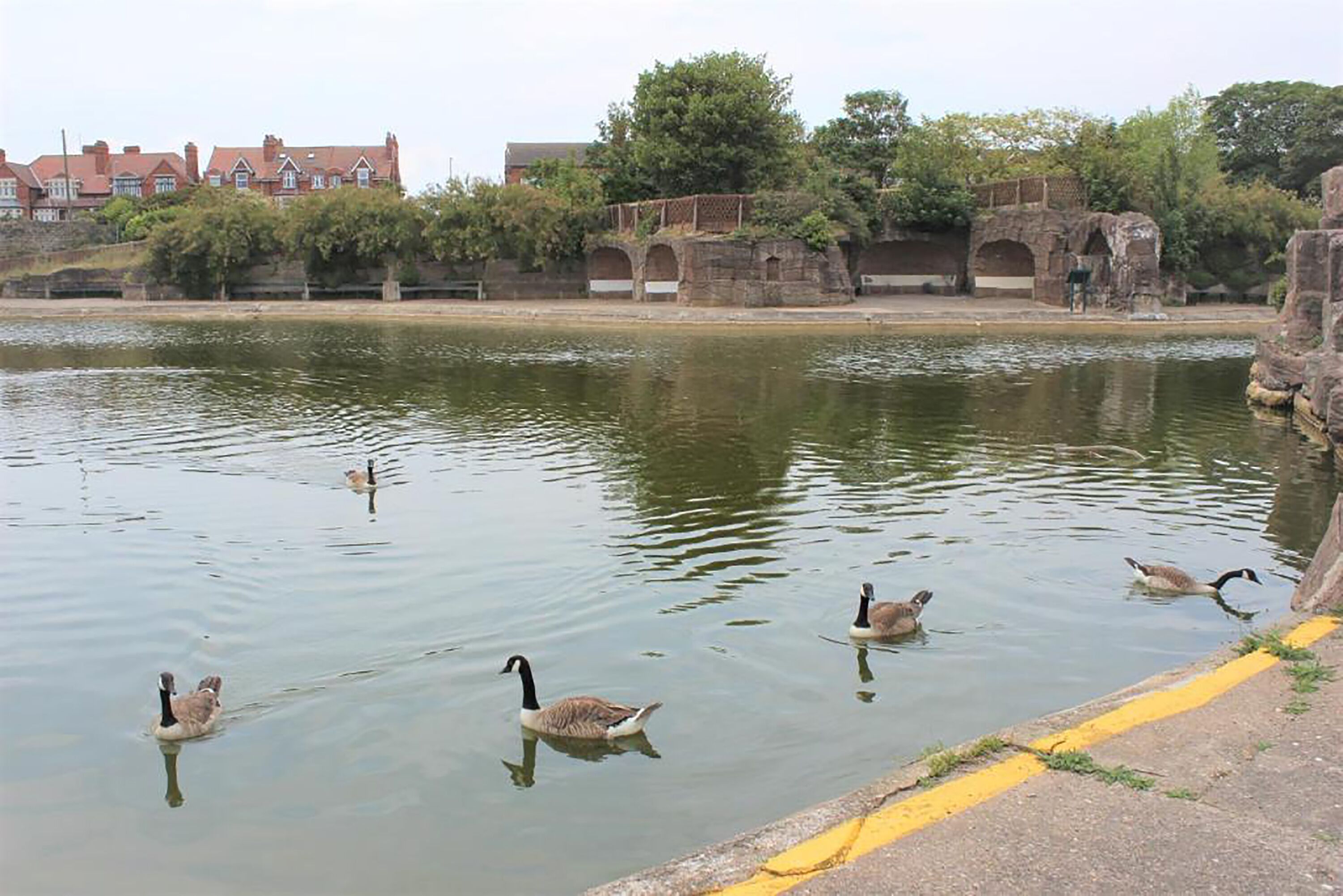 A calm water body with ducks swimming, a stone bridge, and a building in the background.
