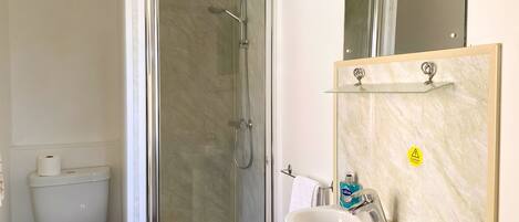 Une salle de bain comprenant des toilettes, une douche fermée par une paroi de verre et un lavabo avec un miroir au-dessus.